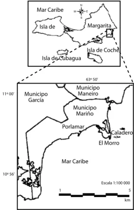 Fig. 1. Ubicación del área de pesca El Morro en el Estado  Nueva Esparta, Venezuela.