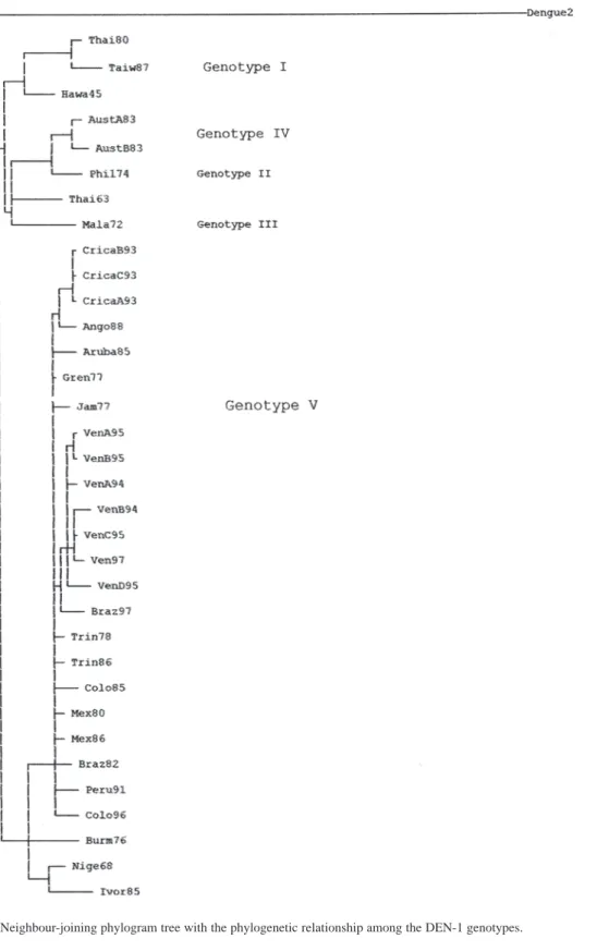 Fig. 2. Neighbour-joining phylogram tree with the phylogenetic relationship among the DEN-1 genotypes.