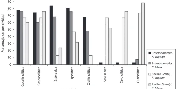 Fig.  3.  Porcentaje  de  positividad  en  actividades  enzimáticas  evaluadas  para  diferentes  grupos  de  aislamientos  bacte- bacte-rianos