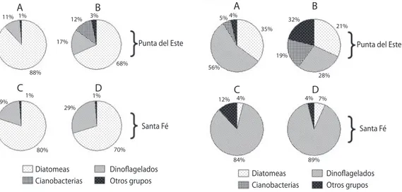 Fig. 2. Porcentajes de los grupos de fitoplancton encontra- encontra-dos en los estómagos de Ecteinascidia turbinata (A y C) y  en la columna de agua (B y D); en Punta del Este (A y B)  y en Santa Fe (C y D)