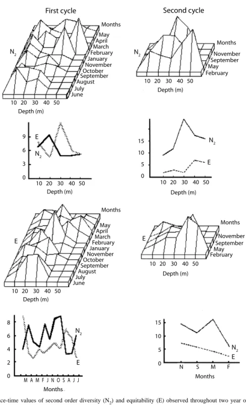 Fig.  3.  Space-time  values  of  second  order  diversity  (N 2 )  and  equitability  (E)  observed  throughout  two  year  of  sampling  cycles