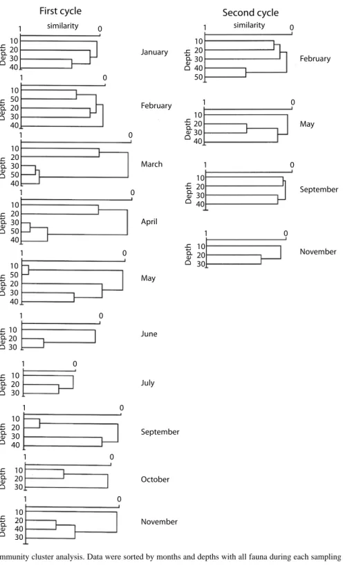 Fig. 4. Community cluster analysis. Data were sorted by months and depths with all fauna during each sampling month.