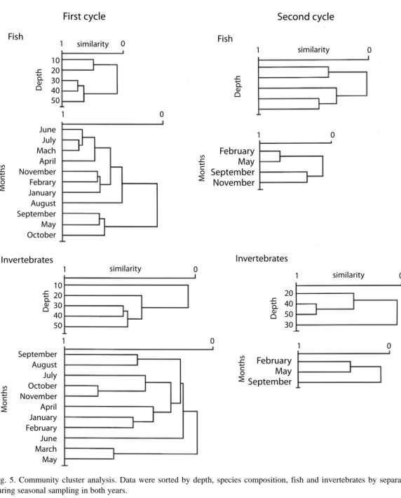 Fig.  5.  Community  cluster  analysis.  Data  were  sorted  by  depth,  species  composition,  fish  and  invertebrates  by  separate,  during seasonal sampling in both years.