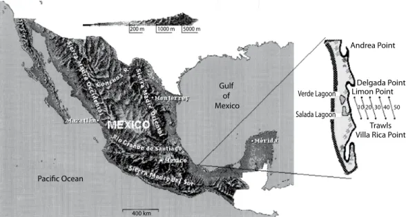 Fig. 1. Map showing locations of the sampling site. The isobats (10 to 50 m) show the trawls in both years.