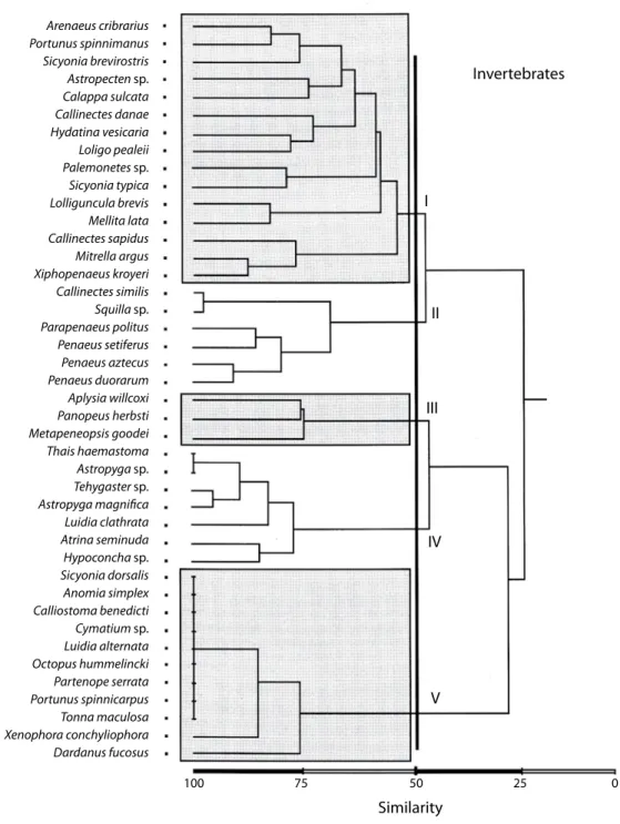 Fig. 7. Cluster analysis of invertebrate species. The community is organized into five groups