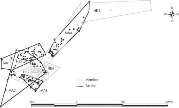 Fig. 2. Polígonos mínimos convexos del ámbito hogareño de ocho iguanas adultas (Iguana iguana).