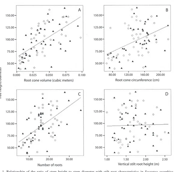 Fig.  1.  Relationship  of  the  ratio  of  stem  height  to  stem  diameter  with  stilt  root  characteristics  in  Socratea  exorrhiza