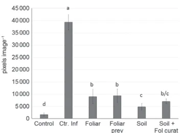 Figure 2. Eﬀect of diﬀerent LBS treatments on physiological parameters measured 30 days after treatment: (A) plant height measured from soil to apical shoot; (B) chlorophyll content expressed in SPAD units  (dimension-less)