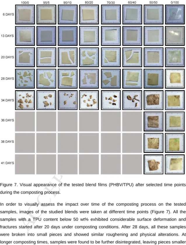 Figure  7.  Visual  appearance  of  the  tested  blend  films  (PHBV/TPU)  after  selected  time  points  during the composting process