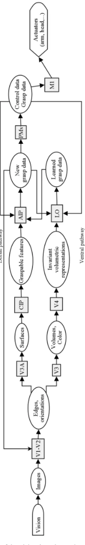 Fig. 3 Development of the vision-based grasping model using the FBA architecture.