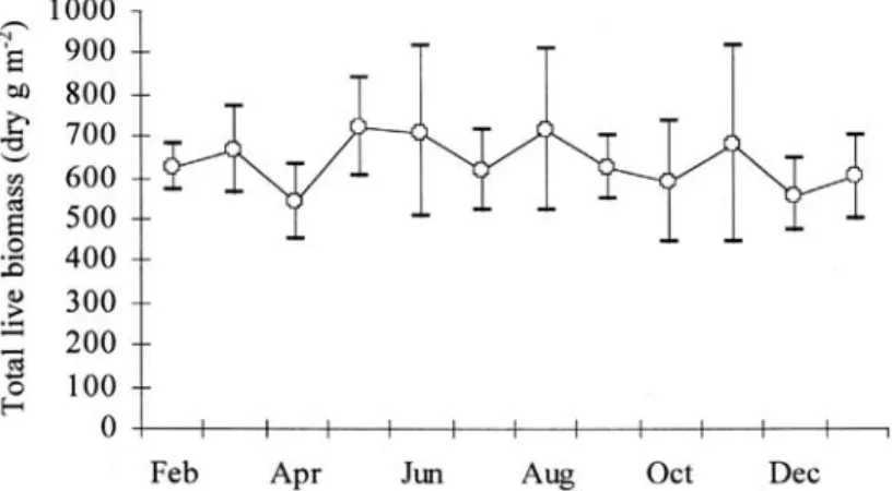 Fig. 1. Average total live biomass of Thalassia testudinum at Las Luisas, Parque Nacional Morrocoy, from February 92 to  January 93