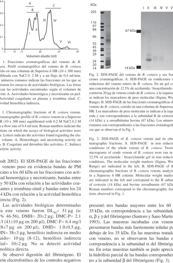 Fig.  1.  Fracciones  cromatográficas  del  veneno  de  B. 