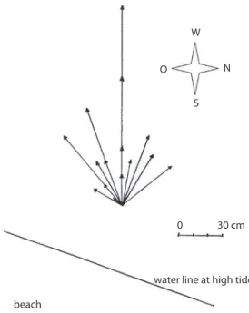 Fig. 7. Bearing of recaptured clams of the migration experi- experi-ment  after  143  days