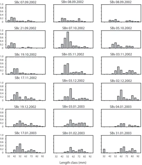 Fig.  2.  Length frequency distributions of Length  frequency  distributions  of  M.  squalida  at  the  three  sampling  sites  SBcontrol  (left),  SBnorth  (middle)  and  SBsouth (right)