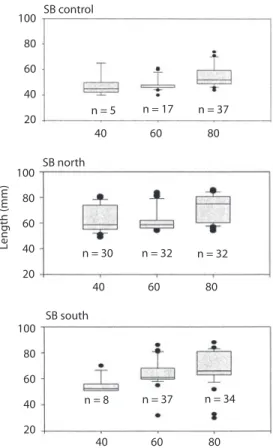 Fig.  5.  Semi-quantative  growth  curve  for  M.  squalida  populations  at  the  intertidal  and  subtidal  zone