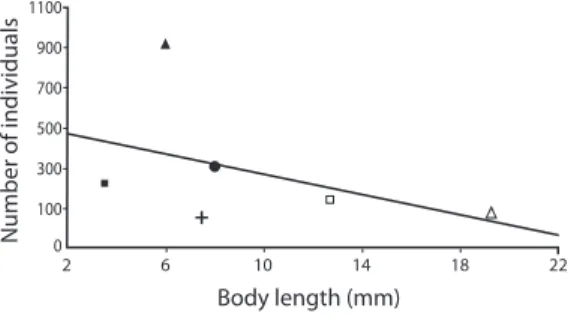 Fig.  1.  Abundance  and  body  size  of  dung  beetles  (DB)  and  ants  (observed  by  pitfalls)  on  scats  of  Didelphis  at  a  small  forest  fragment  in  southern  Brazil