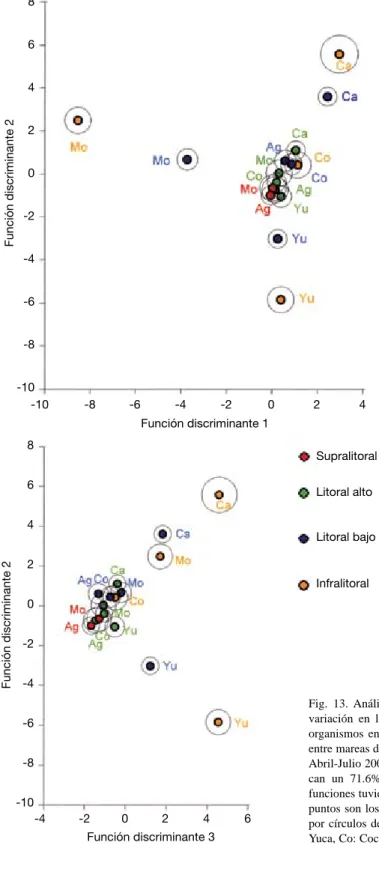 Fig.  13.  Análisis  múltiple  discriminante  para  mostrar  la  variación  en  la  composición  de  la  cobertura  (%)  de  los  organismos  en  las  diferentes  secciones  de  la  zona  rocosa  entre mareas de las cinco localidades del Golfo de Nicoya,  