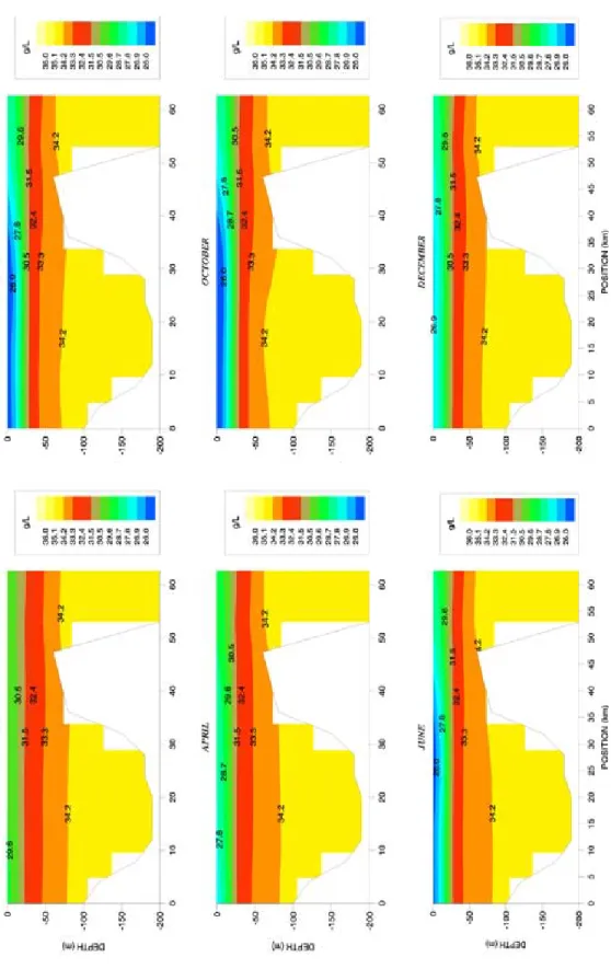 Fig. 12. Simulated monthly average of salinity in a vertical section along the central Golfo Dulce (see Fig