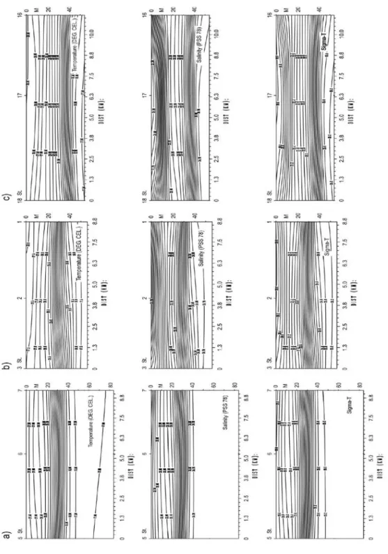 Fig. 6. Observed vertical distribution of temperature, salinity and density in cross sections in January 1999 (looking up-gulf): a) Section S1, 28 January, b) Section  S2, 28 January and c) Section S3, 29 January