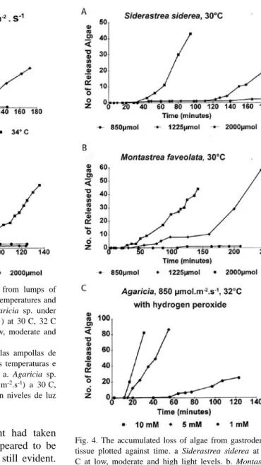 Fig.  3.  The  accumulated  loss  of  algae  from  lumps  of  gastrodermal tissue  exposed  to  different temperatures and  illumination  plotted  against  time