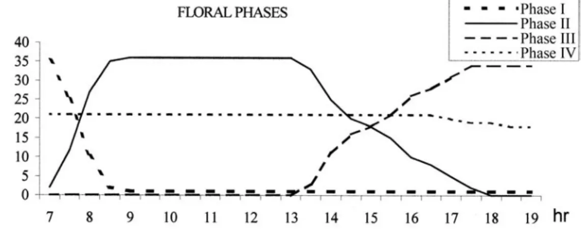 Fig. 2. Frequency of each floral phase during one day of anthesis (n= 120 flowers).