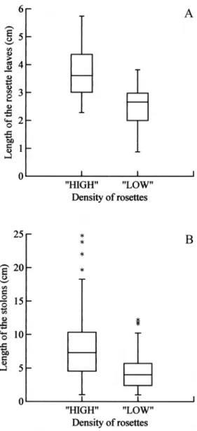 Fig. 1a. Length of the stolons under crowded conditions  (maximum = 24.8; minimum = 1.02; mean = 7.7; median =  6.8; SE = 0.4) vs