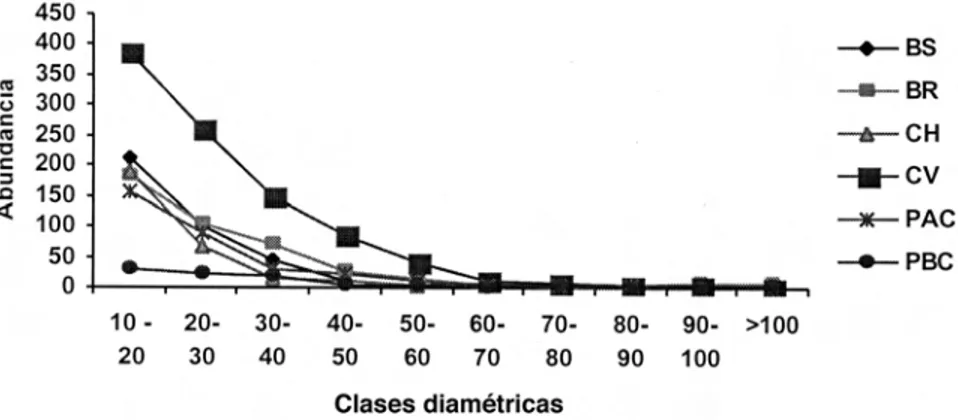 Fig. 5. Tree diameter distribution (n = 2470 individuals) in 48 plots of 0.1 ha in Matiguás, Nicaragua.