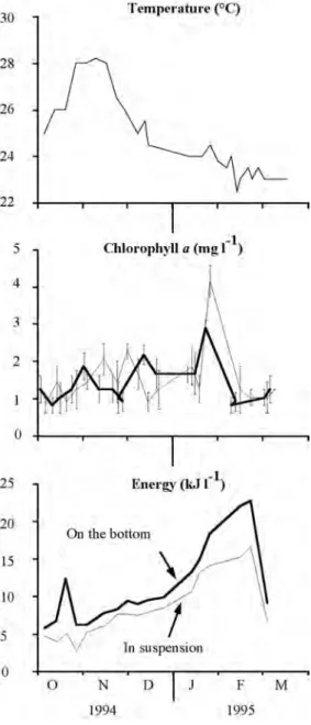 Fig. 3. Variations in temperature at the experimental site at  5 m in depth, and variations in chlorophyll a concentration  and energy content of materials collected in sediment traps  on the bottom and in suspension