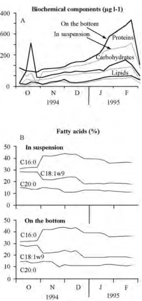 Fig. 4.  Variations in the protein, carbohydrate and lipid  content (A), and the relative proportion of 13 fatty acids  (B), in the organic matter collected in sediment traps on the  bottom and in suspension.