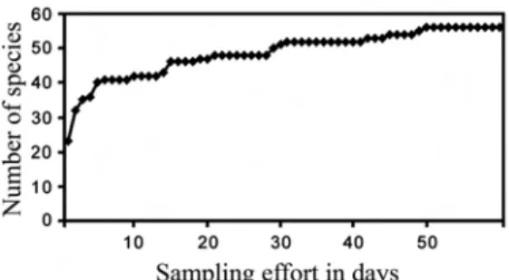 Fig. 2. Species accumulation during transect counts.