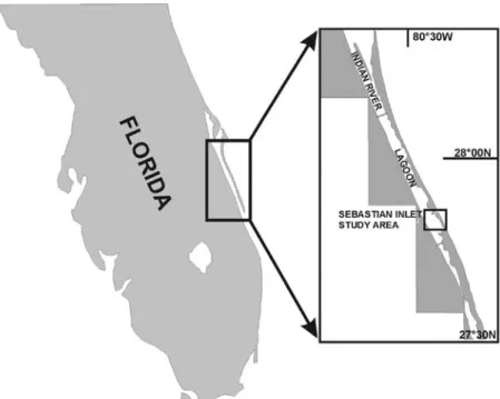 Fig. 1. Study areas in the Indian River Lagoon, Florida, USA.