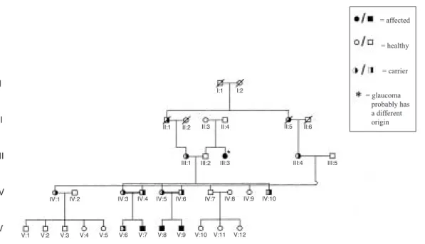 Fig. 1.  Pedigree of the family with primary congenital glaucoma (PCG) due to a 1546-1555dupTCATGCCACC at the CYP1B1 gene.
