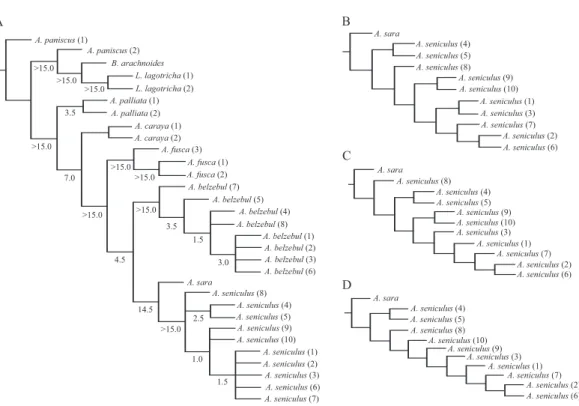 Fig. 1. Phylogenies obtained for the genus Alouatta.  A. Bremer Decay Indexes for the strict consensus tree; B-D, Topogical differences among the obtained 3 equally most parsimonious trees.