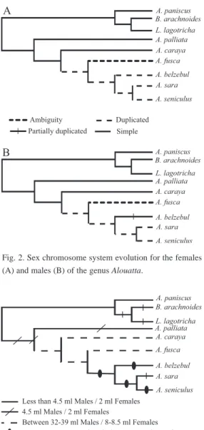 Fig. 2. Sex chromosome system evolution for the females (A) and males (B) of the genus Alouatta.