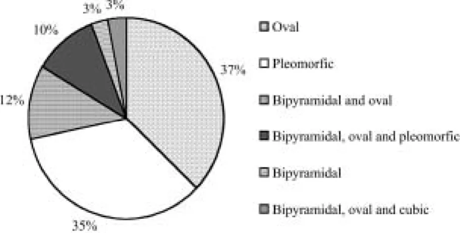 Fig. 1. Crystal morphology distribution of Bacillus thuringiensis strain collection, isolated from Costa Rican coffee agroecosystem.