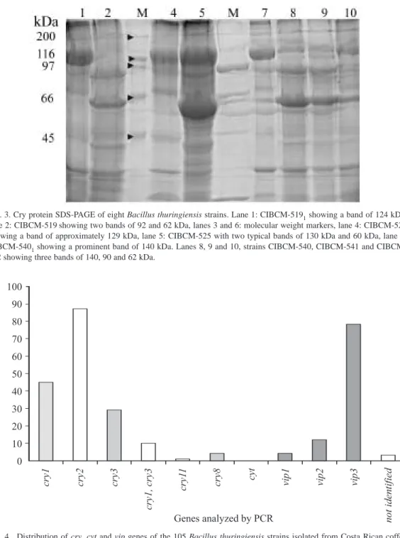 Fig. 4.  Distribution of cry, cyt and vip genes of the 105 Bacillus thuringiensis strains isolated from Costa Rican coffee agroecosystems.