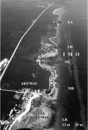 Fig. 1. Photograph of the Yucatán coastline looking north- north-ward from Akumal Bay to Xaak, with survey site locations