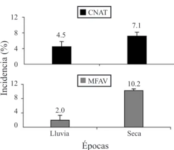 Fig. 2. Relation between skeletal density of predated coral  substrates and mean volume of live coral removed by bite  of  Sparisoma  viride