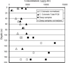Fig. 3.  Concentration (x 1000) of ∑PCBs and concentra- concentra-tion normalized by percent organic matter for deep  sam-ples obtained within Golfo Dulce, Pacific coast of Costa Rica (1997-2003).