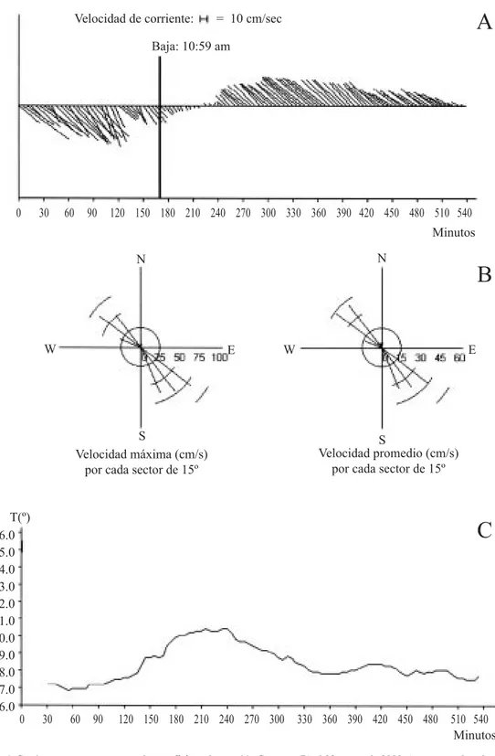 Fig. 4. Corrientes y temperatura en el superficie en la estación Cortezas (B) el 23 marzo de 2000