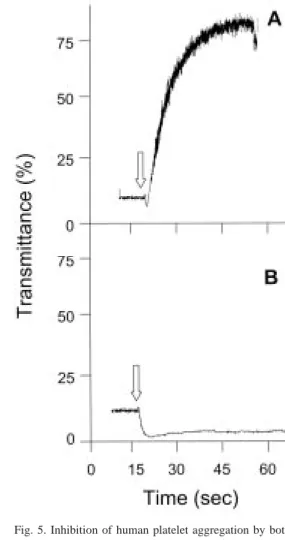 Fig. 3. Triphasic SDS-polyacrylamide gel electrophoresis (SDS-PAGE) analysis of subfraction III-3