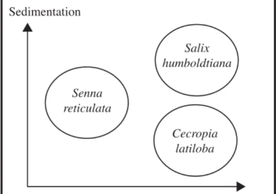 Fig. 11. Scheme representing the main occurrence of Cecropia latiloba with the two other main woody  coloniz-ers, Salix humboldtiana and Senna reticulata, in the  gradi-ents of flood duration and sedimentation.