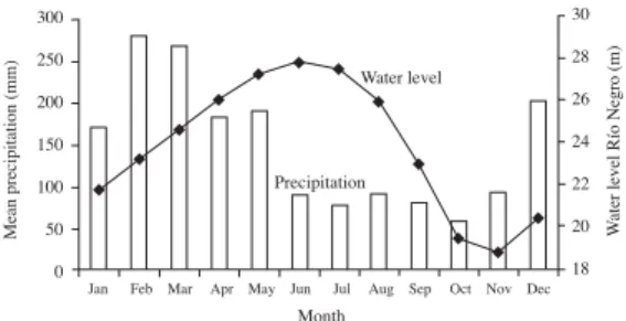 Fig. 3. Mean monthly precipitation and mean river level measured at the harbour of Manaus (Rio Negro); average from 1987 to 1994.