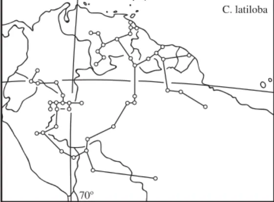 Fig. 5. Distribution and individual tracks of Cecropia latiloba: the localities were connected by the shortest line (from Franco-Rosselli and Berg 1997).