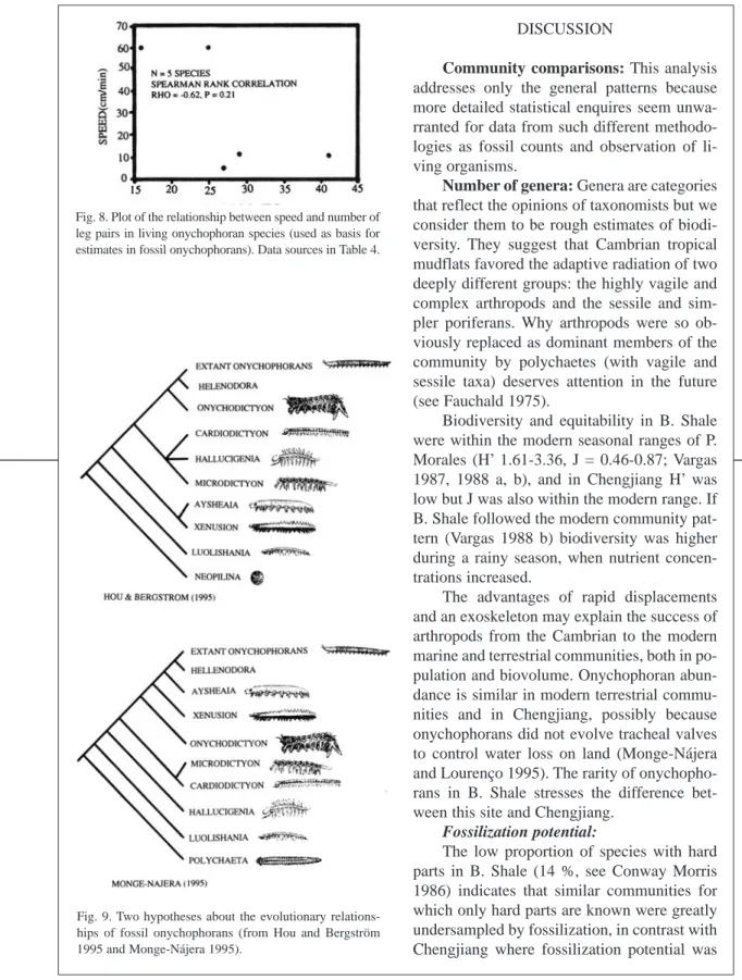 Fig. 8. Plot of the relationship between speed and number of leg pairs in living onychophoran species (used as basis for estimates in fossil onychophorans)