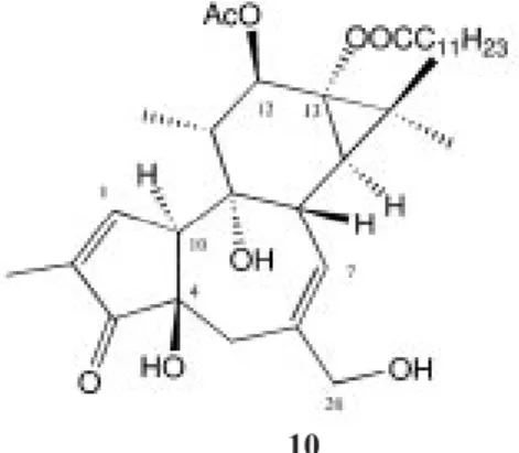 Fig. 2. Structures of compounds 7-10.