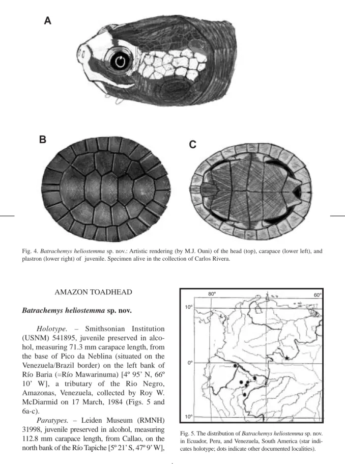 Fig. 5. The distribution of Batrachemys heliostemma sp. nov.