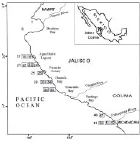 Fig. 1. The Pacific coast of Jalisco and Colima. Numbers indicate the location of sampling stations