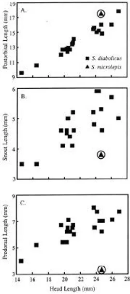 Fig. 5.  Comparison of morphometric features of two, deepwater, Eastern Pacific species of Symphurus