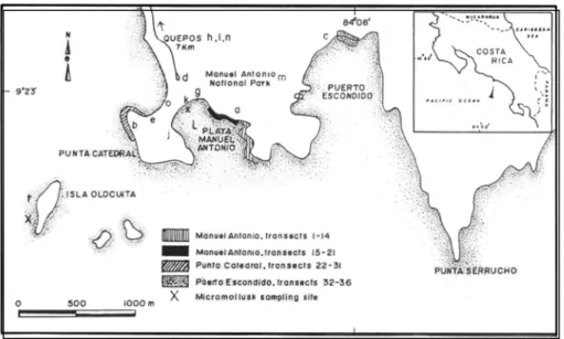 Fig. 1. Location of Manuel Antonio National Park central Pacific coast of Costa Rica. Transects and other sampling sites  (see Tables 1 and 2) are indicated